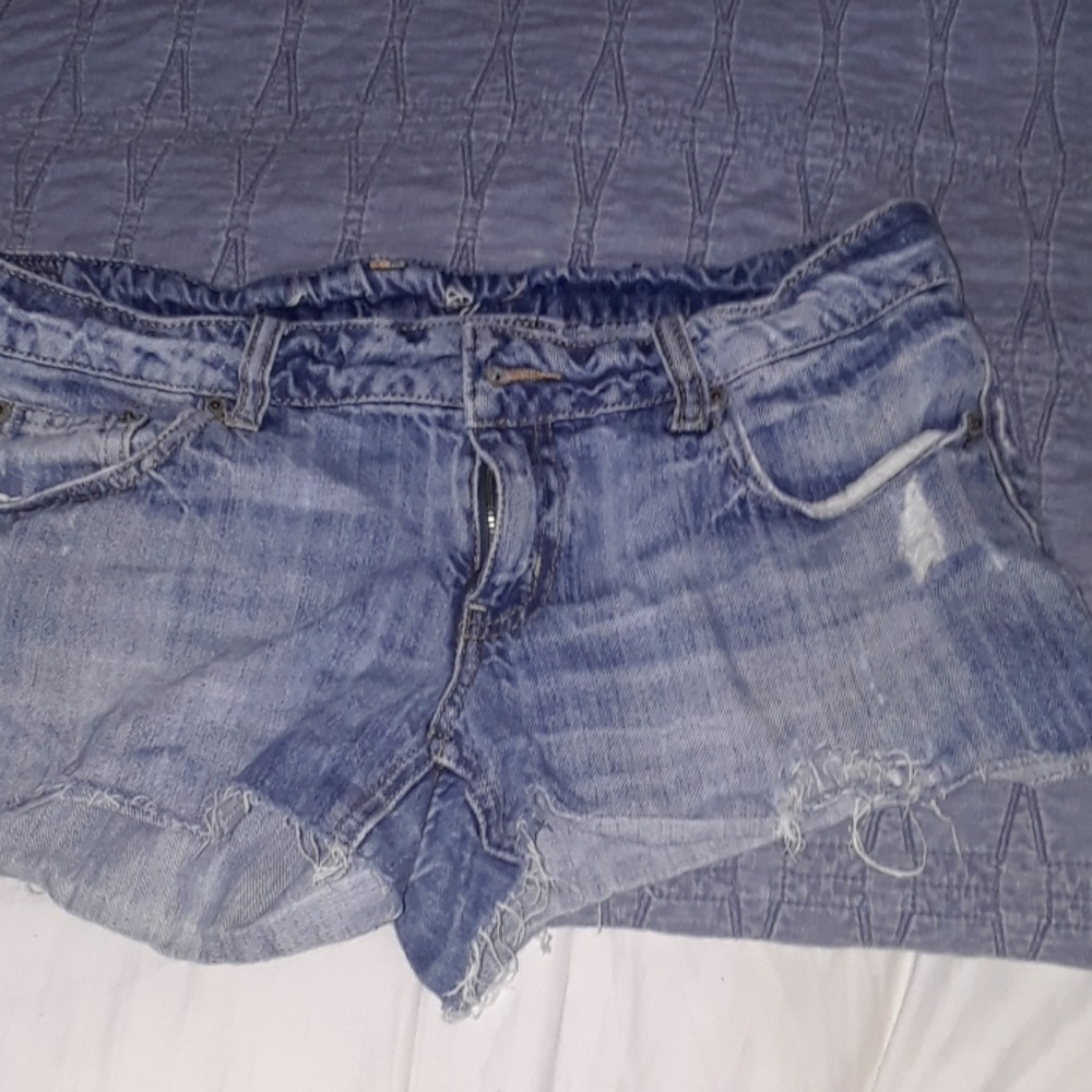 Shorts - Picture 4 of 4
